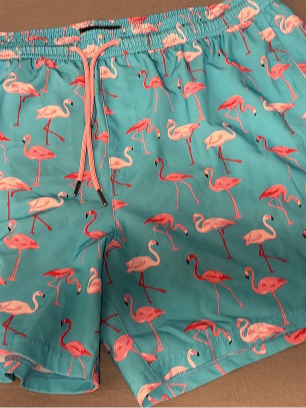 Men's Flamingo Print Swim Trunks - Turquoise/Pink